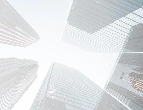 Subordinated Debt-Equity