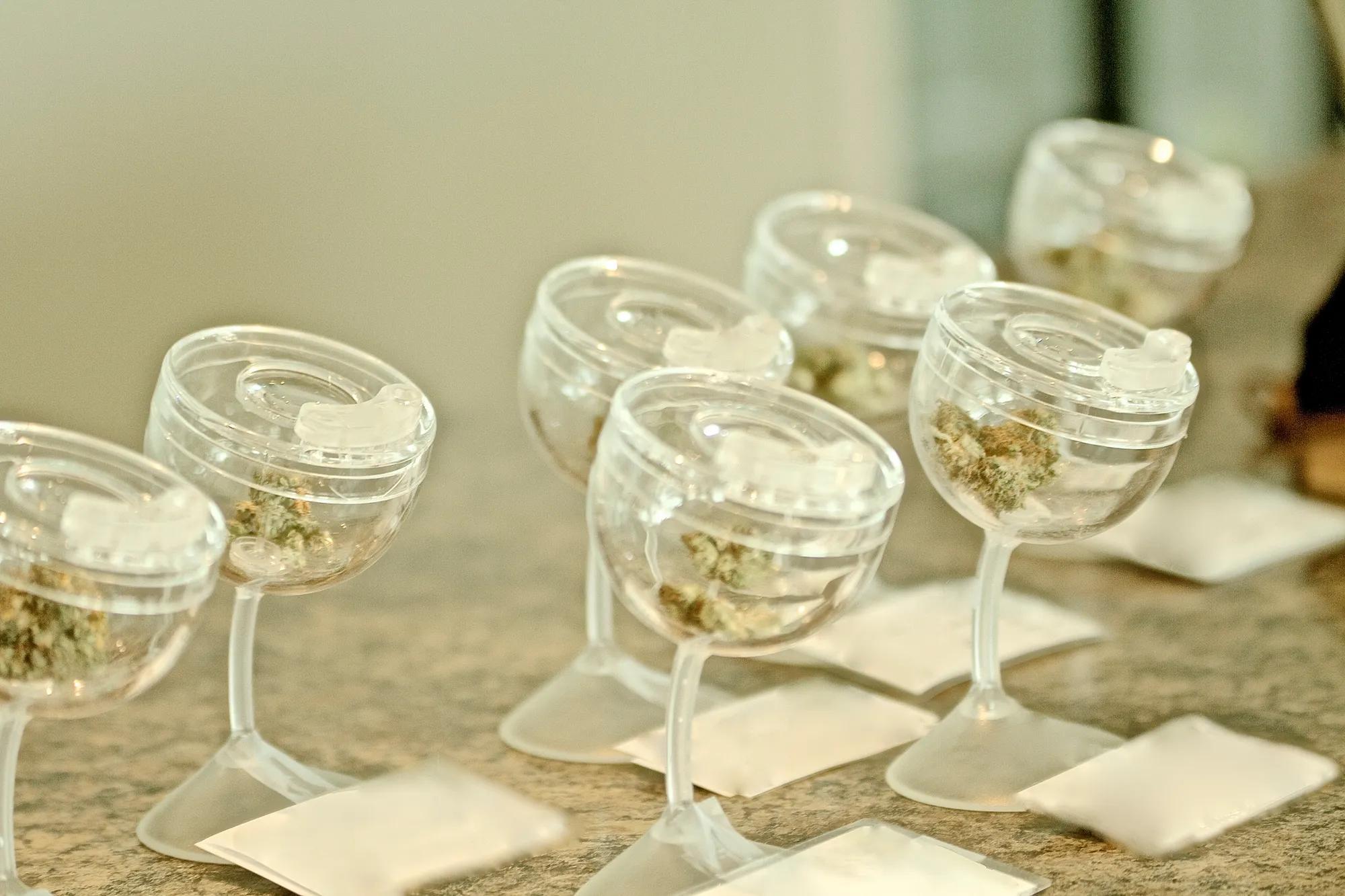 Choix de marijuana dans les dispensaires. 