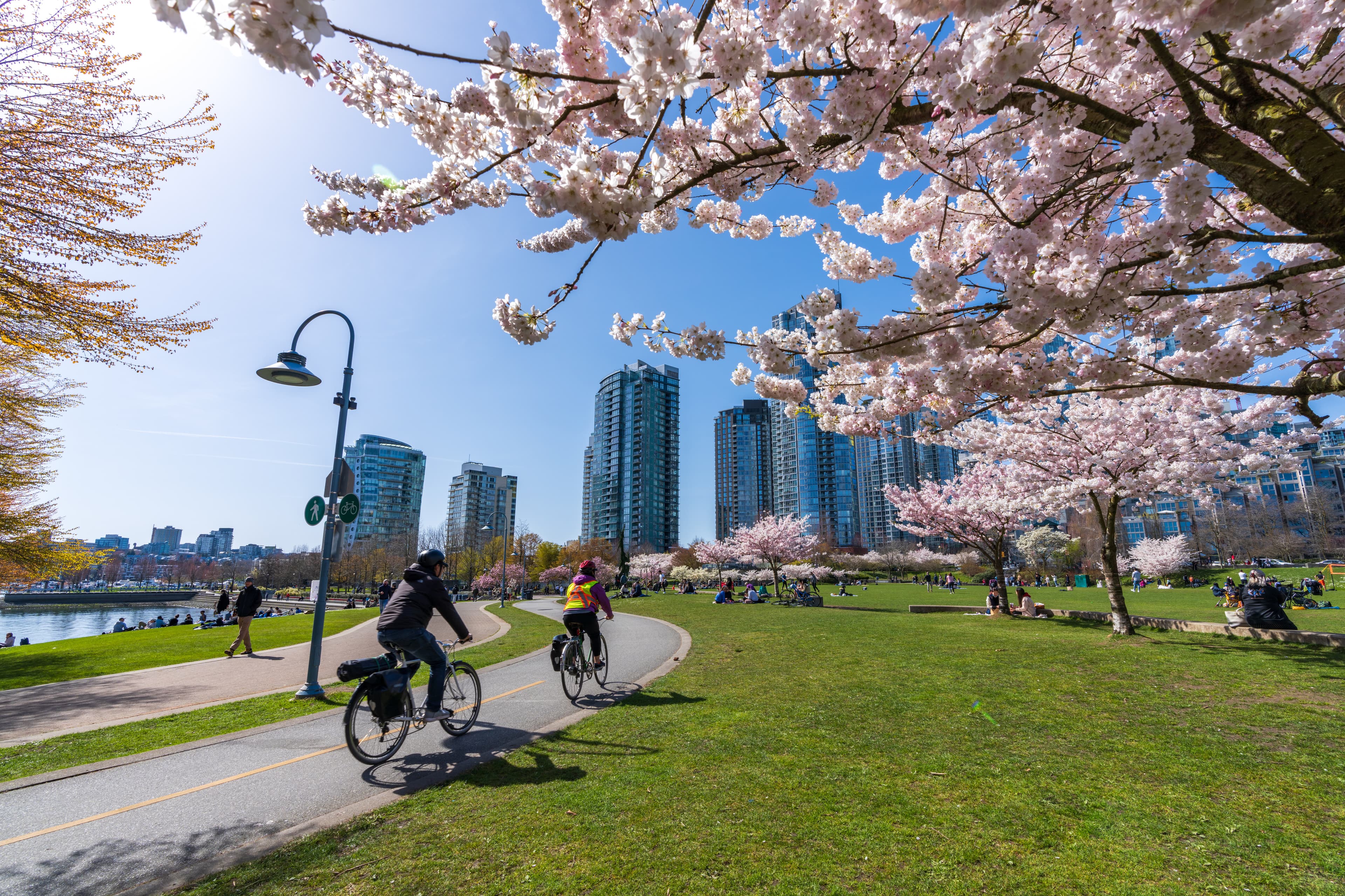 Des gens font du vélo et pique-niquent dans le parc David Lam au printemps