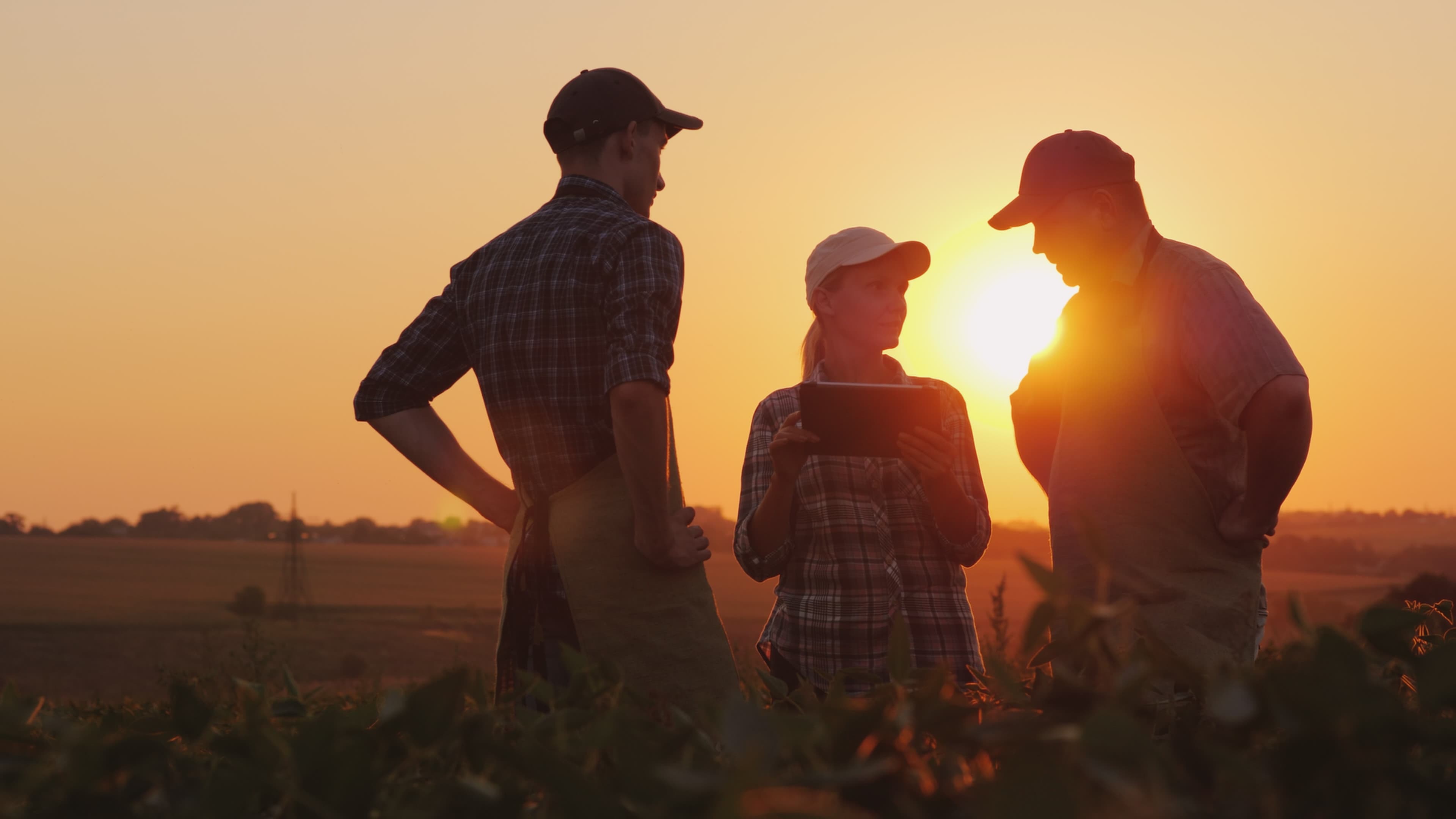 Un groupe d'agriculteurs dans un champ