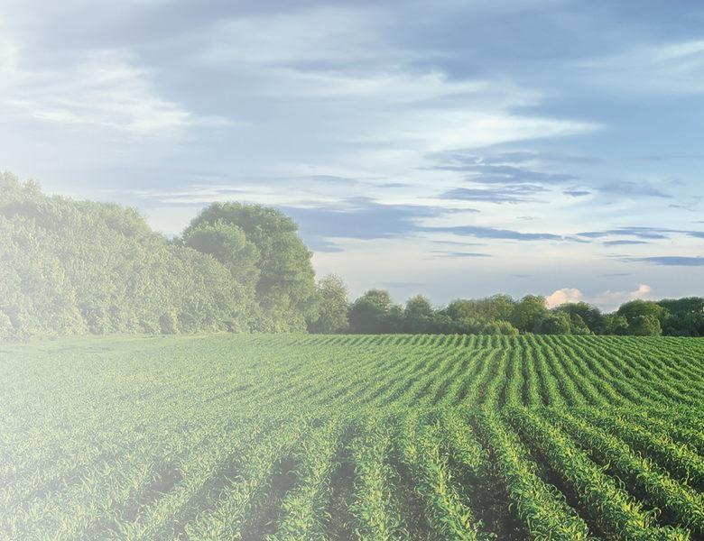 Agriculture