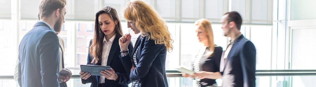 Private Equity Sponsors