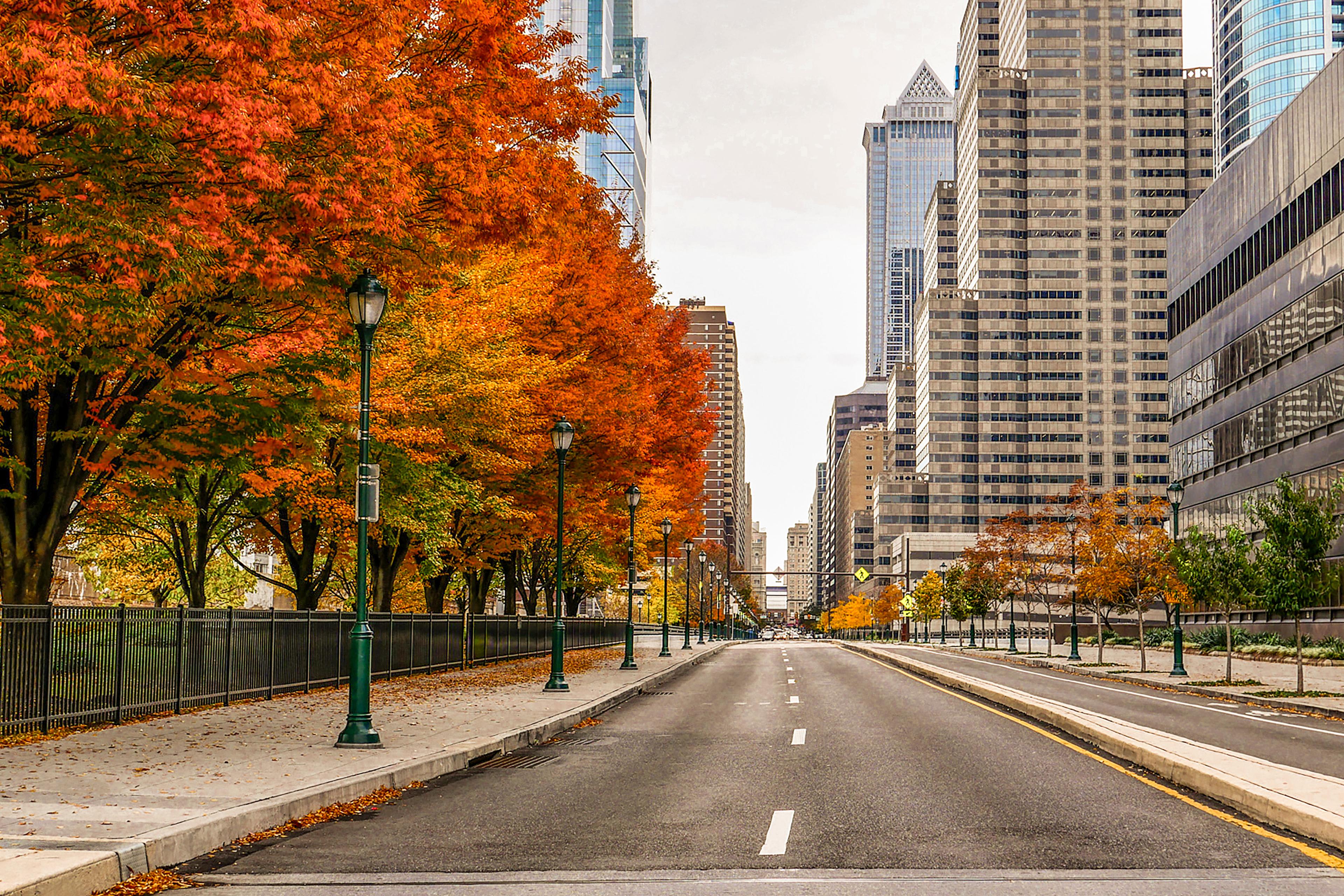Rue à côté des arbres d'automne
