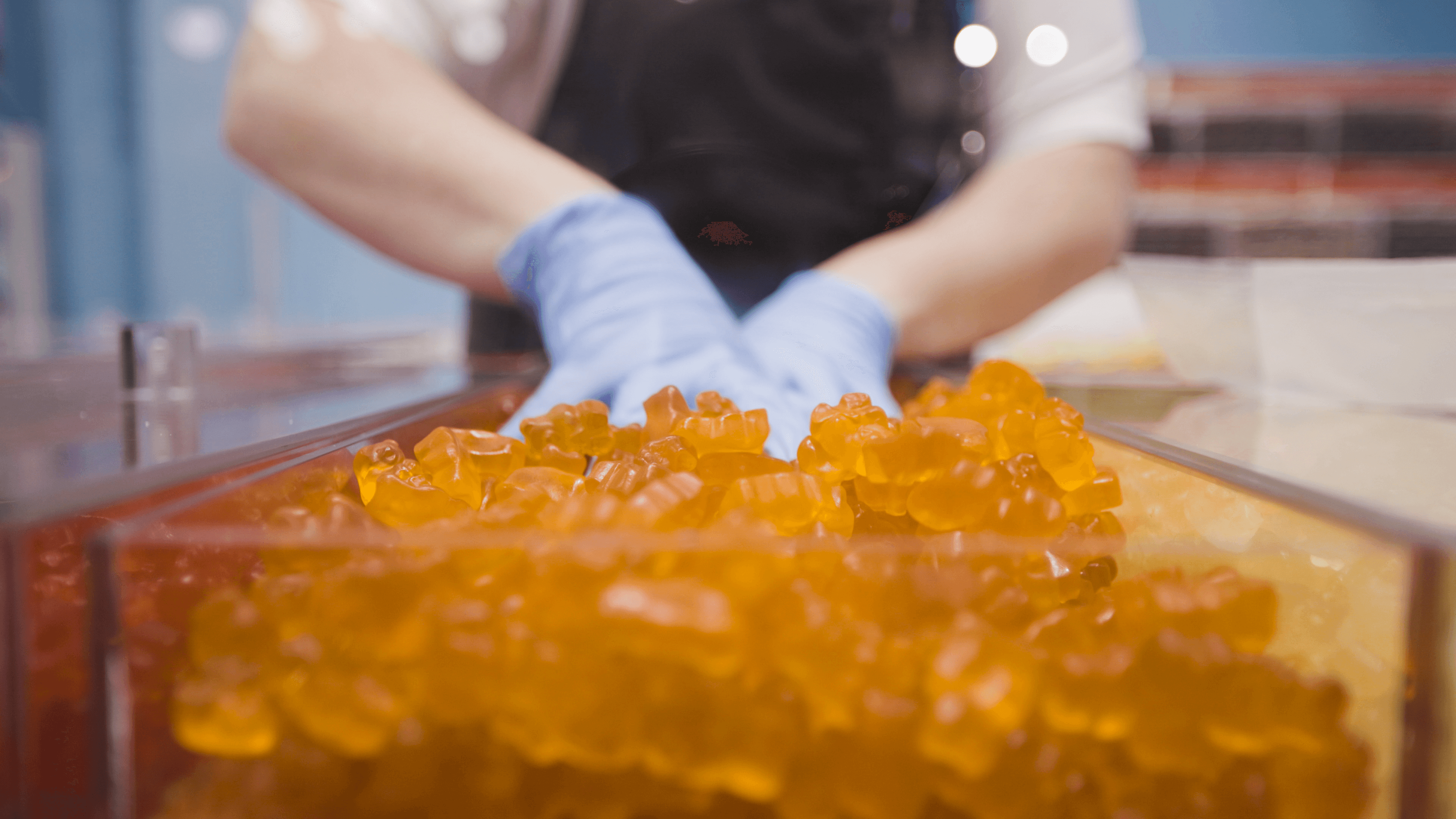 Les oursons de gélatine