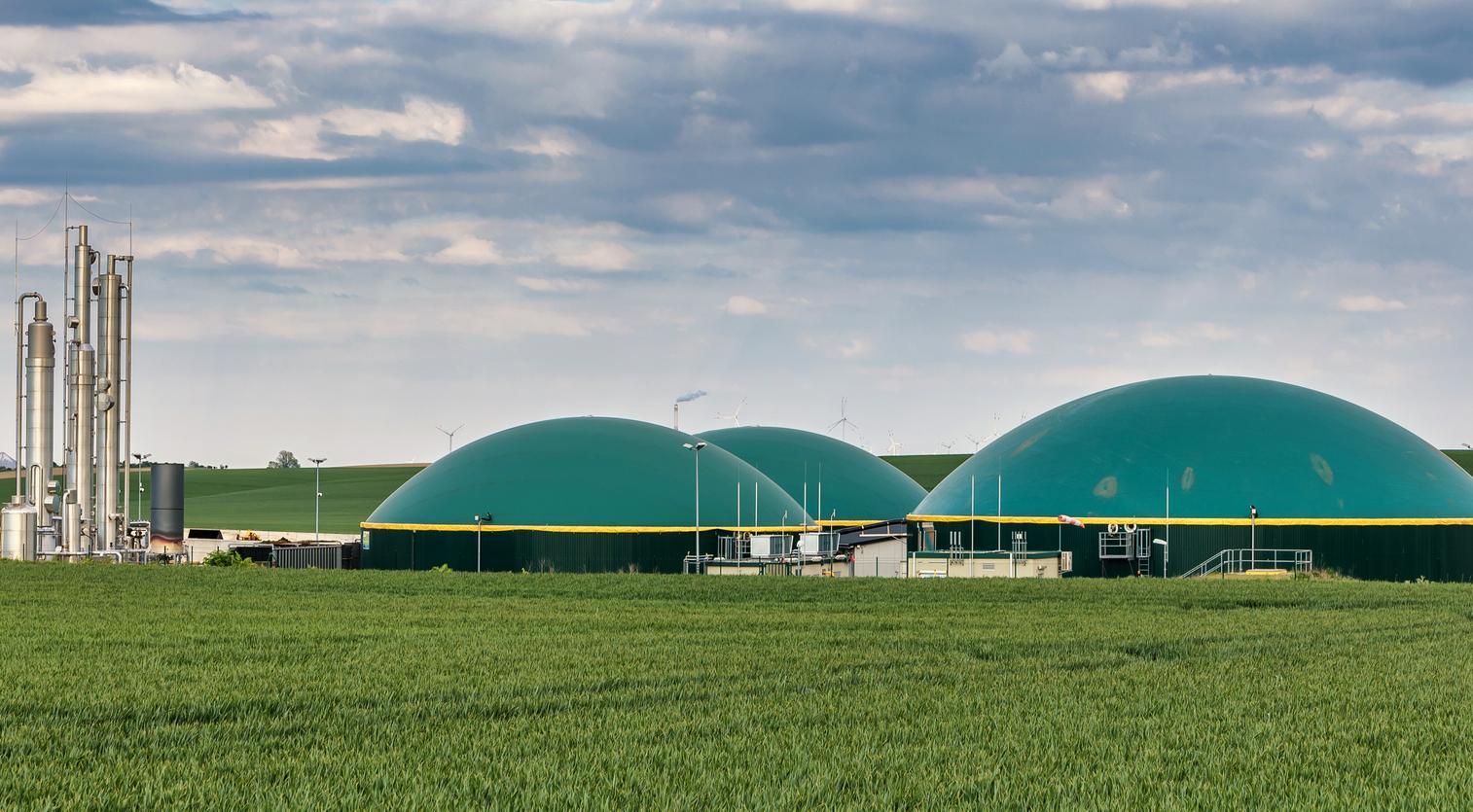 Renewable natural gas farm