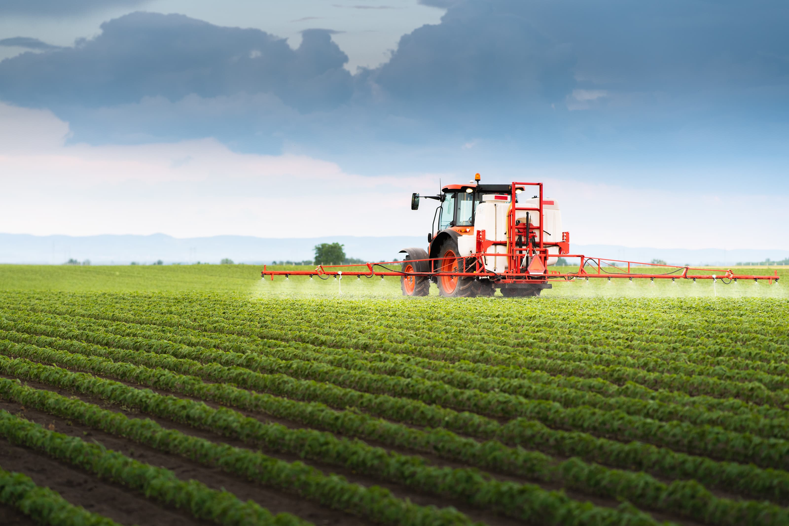 Tracteur pulverisant du soja dans le champ
