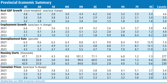 Chart showing a Provincial Economic summary with data for Real GDP Growth, Employment Growth, unemployment rate, housing starts and consumer prices for 2021, 2022 and 2023.