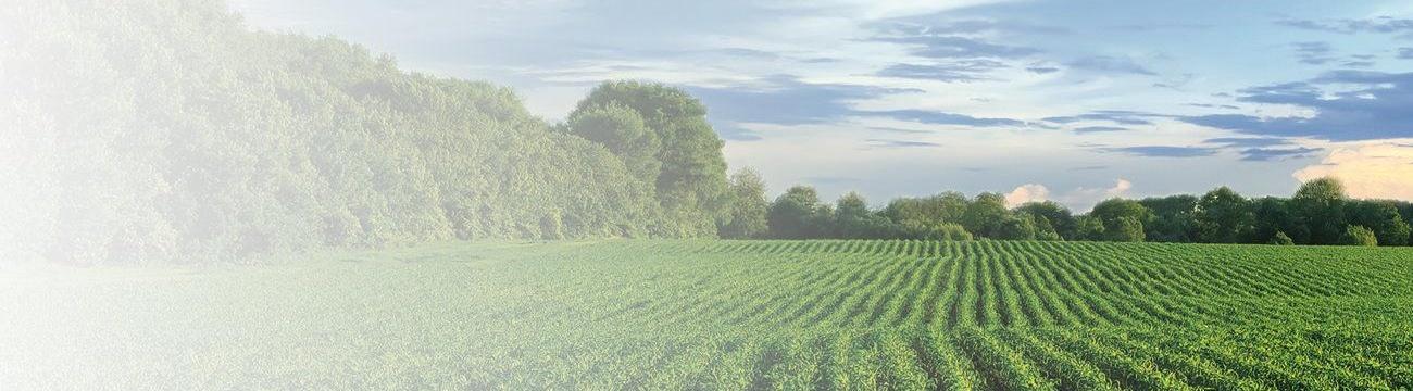 Agriculture